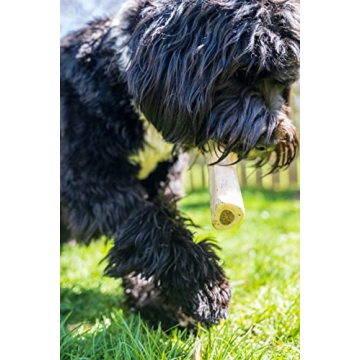 Cadet Double Stuffed Shin Bone - Durable, Dental Health Chew