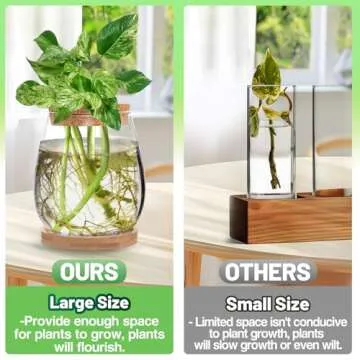 Plants Propagation Station - 2Pcs Desktop Plant Terrarium Glass Hydroponic Vases, Water Plant Propag...