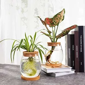 Plants Propagation Station - 2Pcs Desktop Plant Terrarium Glass Hydroponic Vases, Water Plant Propagating Jars, Gardening Gifts for Women Mom Plant Lovers (Water Drop Shape, Separated Tray Style)