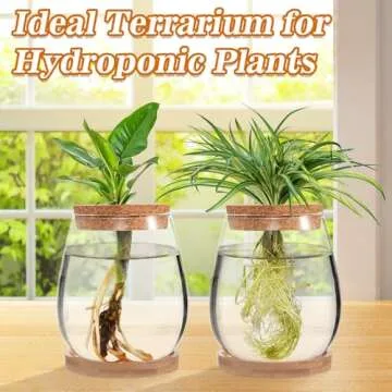 Plants Propagation Station - 2Pcs Desktop Plant Terrarium Glass Hydroponic Vases, Water Plant Propagating Jars, Gardening Gifts for Women Mom Plant Lovers (Water Drop Shape, Separated Tray Style)