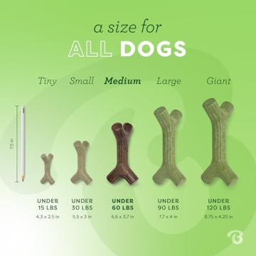 Benebone Bacon Stick Durable Dog Chew Toy for Aggressive Chewers