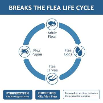 Amazon Basics Flea & Tick Treatment for Medium Dogs
