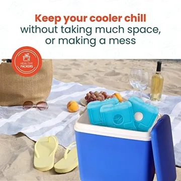 Healthy Packers Slim Ice Packs - Cool Lunch & Camping Essentials