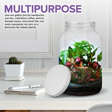 Airtight Stock Your Home Gallon Glass Jars - 128 OZ