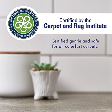 Rocco & Roxie Enzyme Pet Odor Eliminator Stain Remover