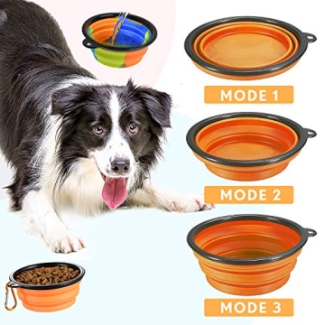 Pet Water Bottle: 2 in 1 Hydration Solution for Dogs