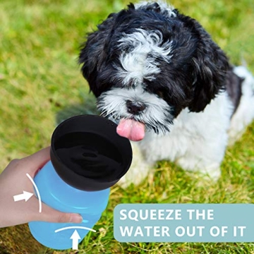 Pet Water Bottle: 2 in 1 Hydration Solution for Dogs