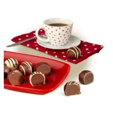 Vegan, Plant Based, Gluten Free Gourmet Chocolates | Everything Good Truffle Collection (15 Pieces) ...