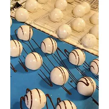 Vegan, Plant Based, Gluten Free Gourmet Chocolates | Everything Good Truffle Collection (15 Pieces) | Dairy Free, Nut Free, Peanut Free, Soy Free | Allergy Friendly Gifts | By No Whey! Foods