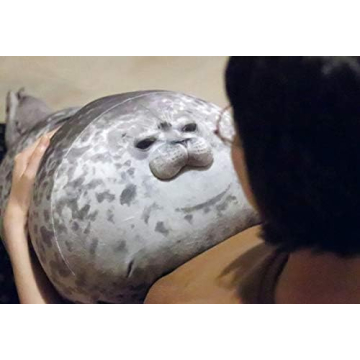 Cute Rainlin Chubby Blob Seal Pillow for All Ages