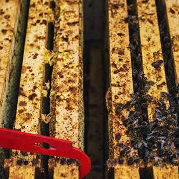 Blisstime Stainless Frame Lifter for Beekeeping Tools