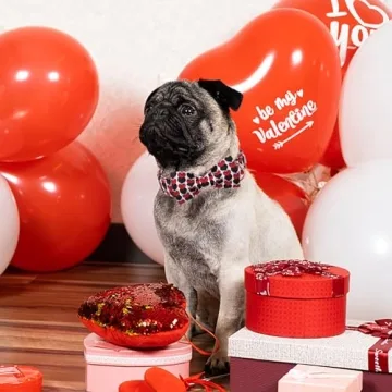 Babole Pet Valentines Dog Collar with Bow Tie - Adjustable and Comfortable Design for All Dogs