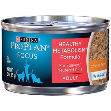 Delicious High Protein Wet Cat Food with Chicken