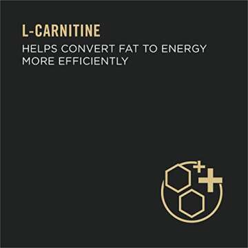 Delicious High Protein Wet Cat Food with Chicken