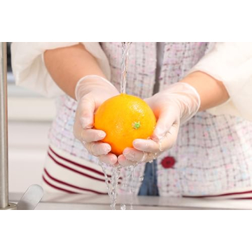 EDI Disposable Vinyl Gloves - Powder-Free, Latex-Free, 100 Count