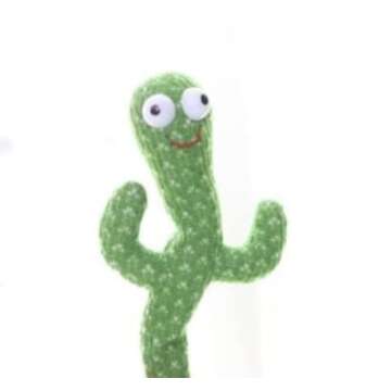MIAODAM Cactus Decor