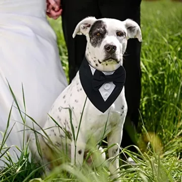 FUAMEY Adjustable Dog Tuxedo for Special Occasions