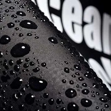 MR.LION Floating Waterproof Dry Bag 10L 20L 30L, Roll Top Dry Sack Keeps Gear Dry for Kayaking, Rafting, Boating, Swimming, Camping, Hiking, Fishing, Beach with Waterproof Phone Case (Black, 20L)