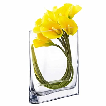 Elegant CYS EXCEL Glass Book Vase for Home Decor & Gifts