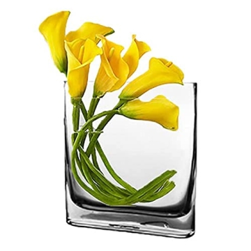 Elegant CYS EXCEL Glass Book Vase for Home Decor & Gifts
