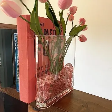 Elegant CYS EXCEL Glass Book Vase for Home Decor & Gifts