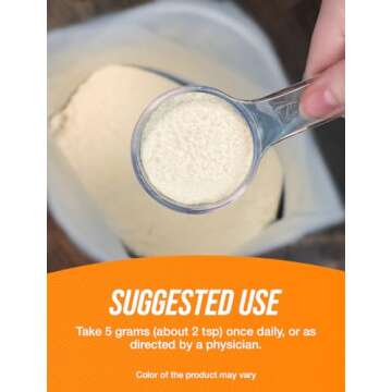 BulkSupplements.com L-Leucine Powder - Leucine Supplements, Leucine Amino Acid - BCAA Supplements, Leucine Powder - Unflavored, 5000mg per Serving, 500g (1.1 lbs) (Pack of 1)