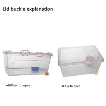 OMEM Portable Reptile Terrarium Habitat for Mini Pet Houses Breathable Holes Stackable Container (L)