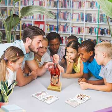 EVOTECH 2022 Newest Human Body Model for Kids, 15 Pcs 11 inch Human Torso Anatomy Model with Heart Skull Head Brain Skeleton Musculature Model, Ages 4+, Education Display, Medical Learning Tool