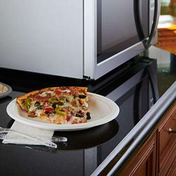 Hefty Disposable-Plates, 100 Count (Pack of 1), UNKNOWN