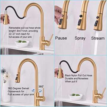 Delle Rosa Kitchen Faucet with Pull Down Sprayer