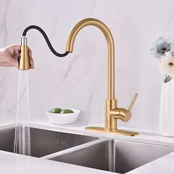 Delle Rosa Kitchen Faucet with Pull Down Sprayer