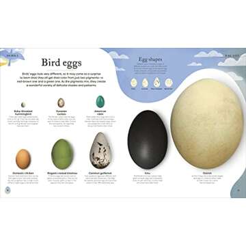 Nature's Treasures: Tales Of More Than 100 Extraordinary Objects From Nature (DK Treasures)