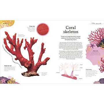 Nature's Treasures: Tales Of More Than 100 Extraordinary Objects From Nature (DK Treasures)