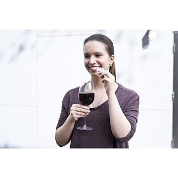 True Wine Wipes Stain Removing Travel Friendly Pack, Breath Freshener, Teeth Protector, Includes 12 Wipes