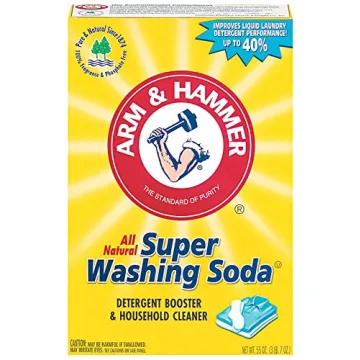 Mule Team Borax & Arm & Hammer Super Washing Soda Pack