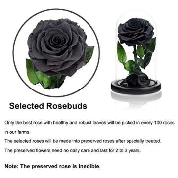 NATROSES Mothers Day Flowers Black Roses for Mom, Handmade Preserved Roses in Glass Dome, Long lasting Purple Roses Real, Glass Rose for Valentines Day, Christmas, Birthday, Anniversary, Thanksgiving