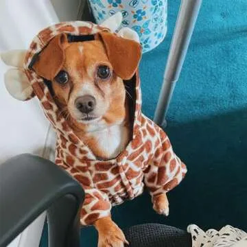 FLAdorepet Giraffe Costume for Small Dogs - Cozy & Cute