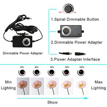 Professional LED Dimmable Photo Light Box Studio