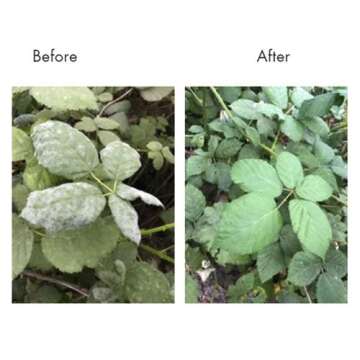 Lost Coast Plant Therapy 32 fl oz - Safe Pest Control