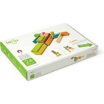 24 Piece Tegu Wooden Block Set - Magnetic Tints