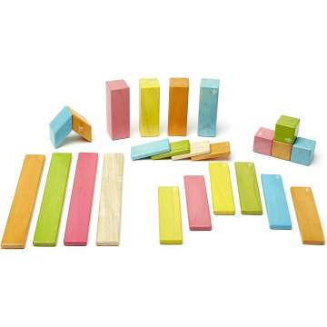 24 Piece Tegu Wooden Block Set - Magnetic Tints