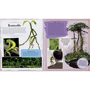 J.K. Rowling's Wizarding World: Movie Magic Volume Two