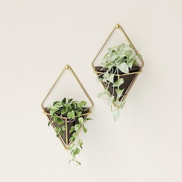Hanging Planter Vase Set for Succulents - Umbra Trigg