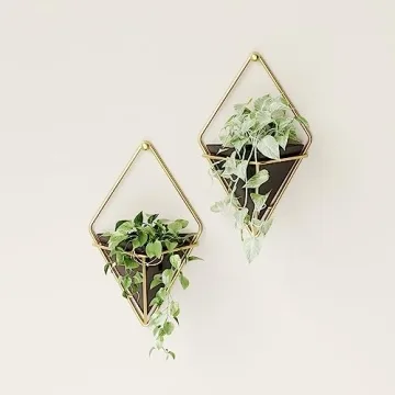 Hanging Planter Vase Set for Succulents - Umbra Trigg