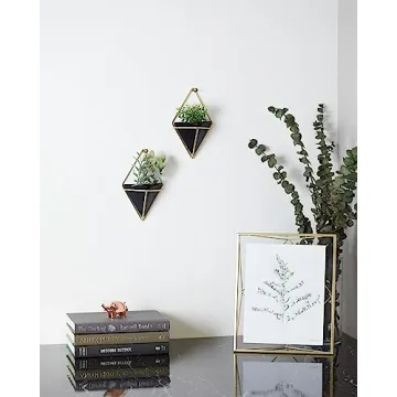Hanging Planter Vase Set for Succulents - Umbra Trigg