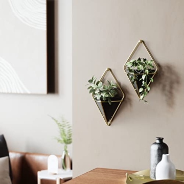 Hanging Planter Vase Set for Succulents - Umbra Trigg