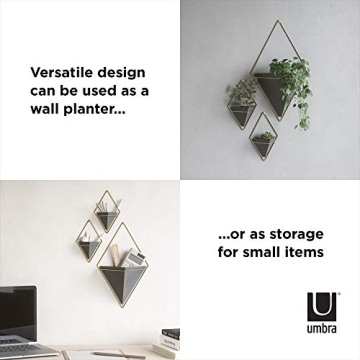 Hanging Planter Vase Set for Succulents - Umbra Trigg
