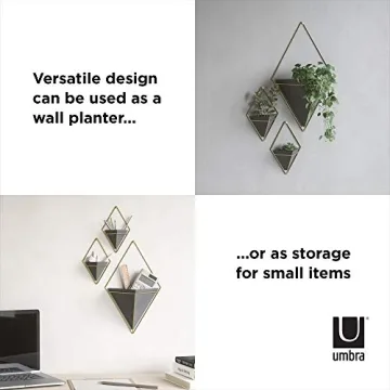 Hanging Planter Vase Set for Succulents - Umbra Trigg