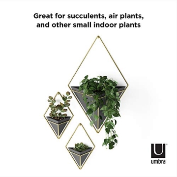 Hanging Planter Vase Set for Succulents - Umbra Trigg