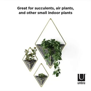 Hanging Planter Vase Set for Succulents - Umbra Trigg